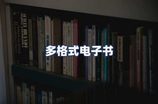 多格式电子书